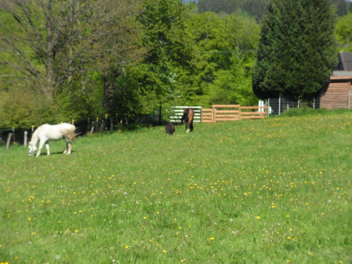 Nettes Landhaus Winterspelt Zewnętrze zdjęcie